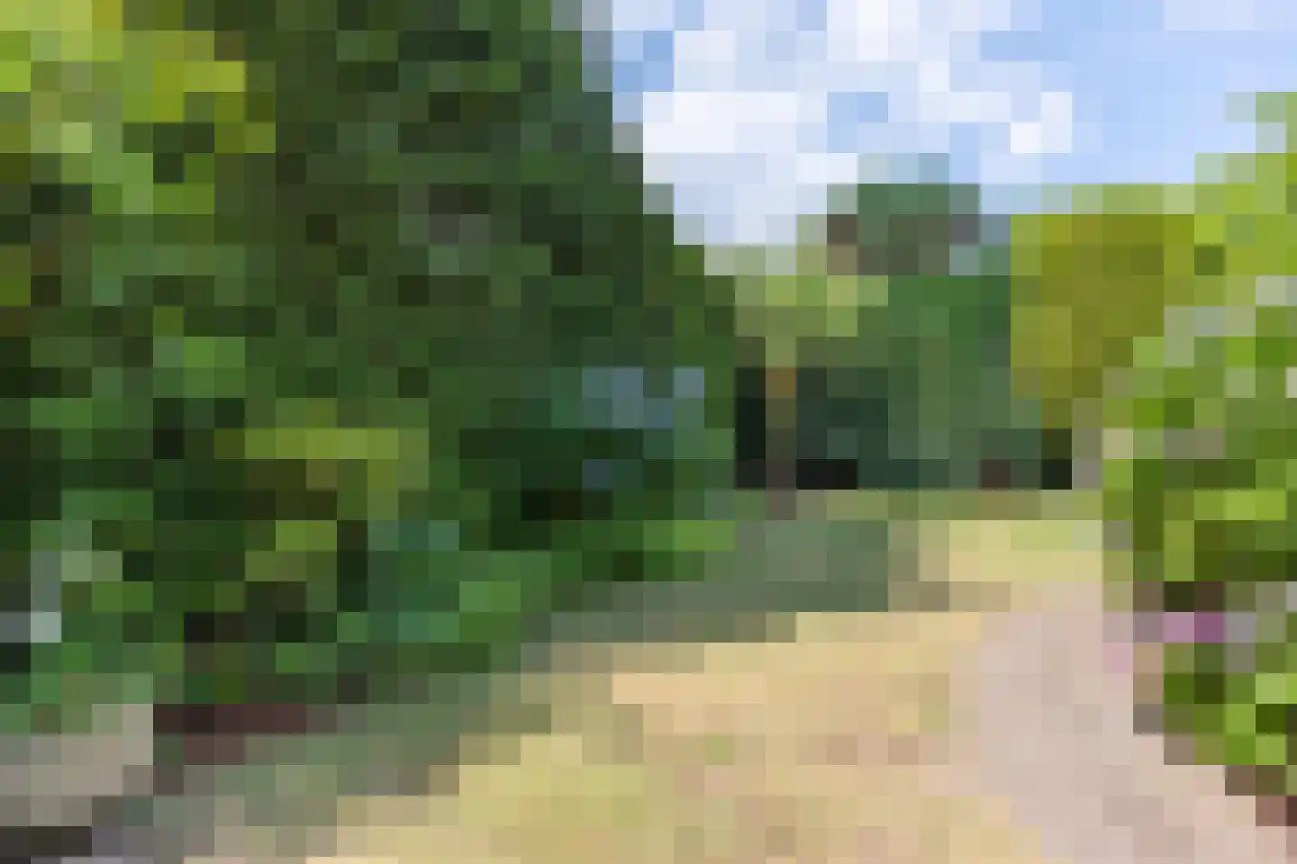 Eikenlaan 24 Waalre thumbnail 42