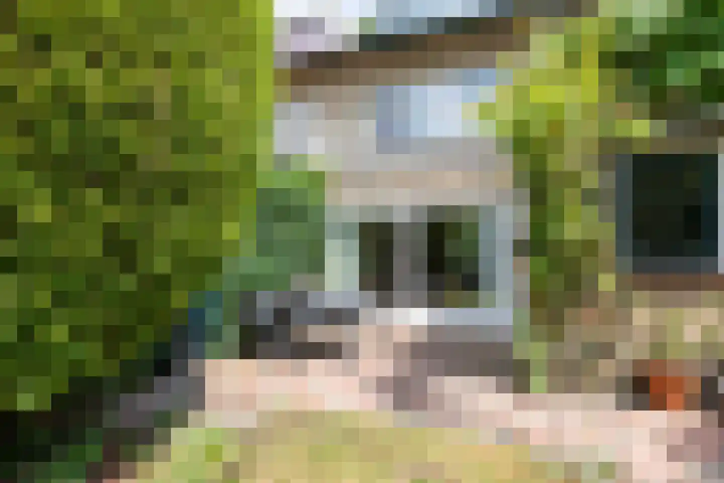 Eikenlaan 24 Waalre thumbnail 43