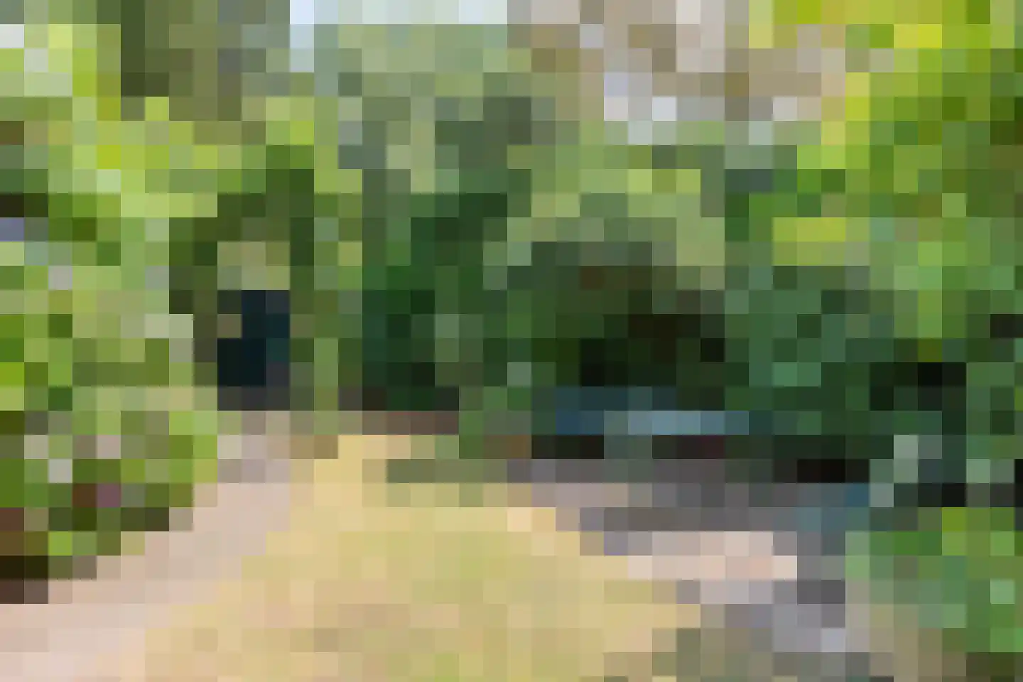Eikenlaan 24 Waalre thumbnail 45