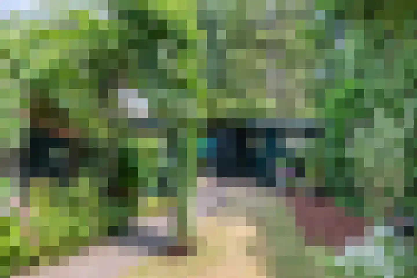 Eikenlaan 24 Waalre thumbnail 46