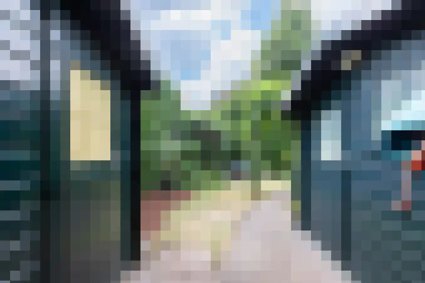 Eikenlaan 24 Waalre thumbnail 47