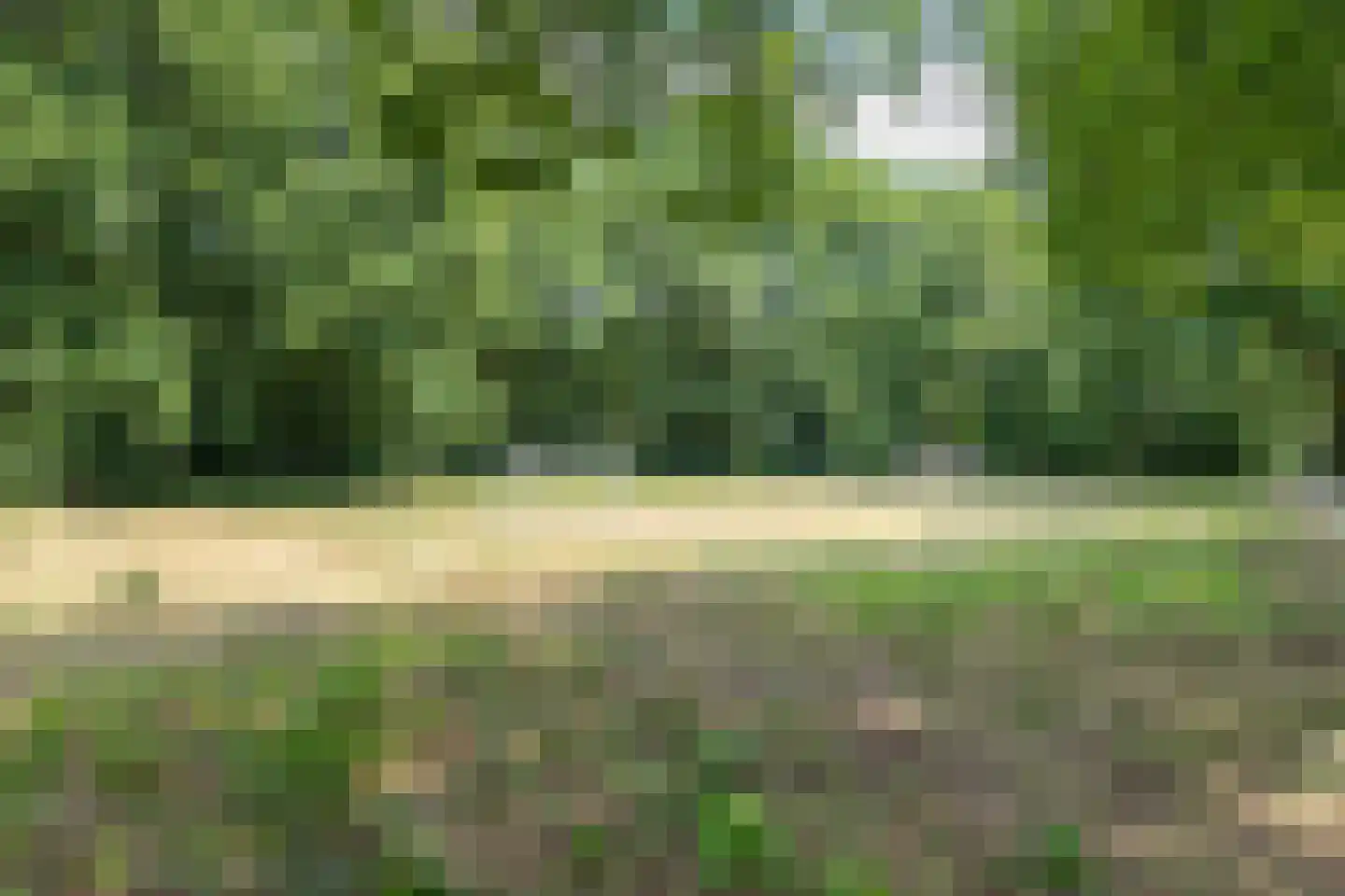 Eikenlaan 24 Waalre thumbnail 49