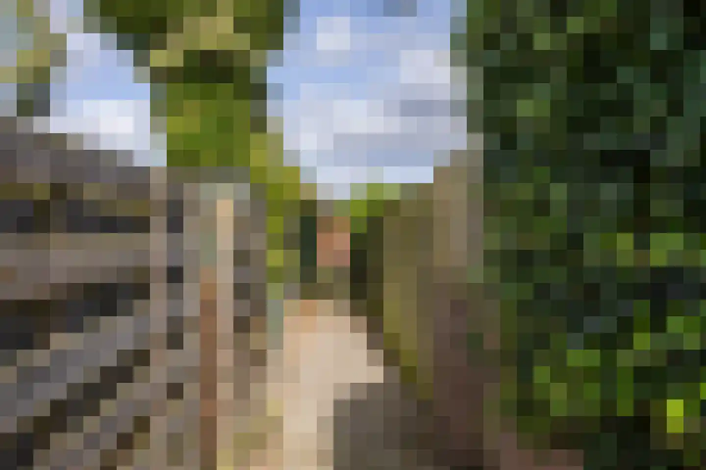 Eikenlaan 24 Winschoten thumbnail 38