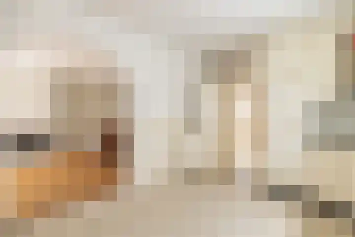 Eikenlaan 24 Zundert thumbnail 11