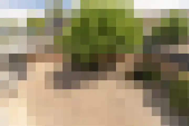 Eikenlaan 24 Zundert thumbnail 27