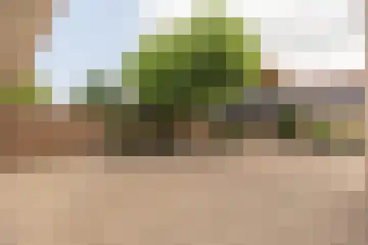 Eikenlaan 24 Zundert thumbnail 30