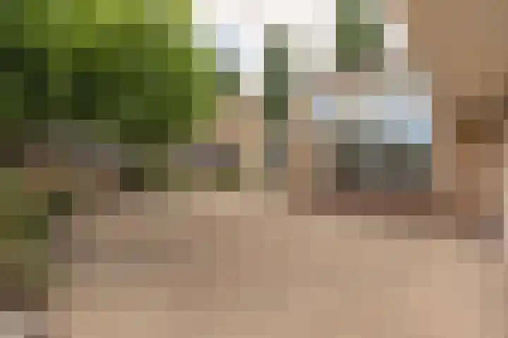 Eikenlaan 24 Zundert thumbnail 31