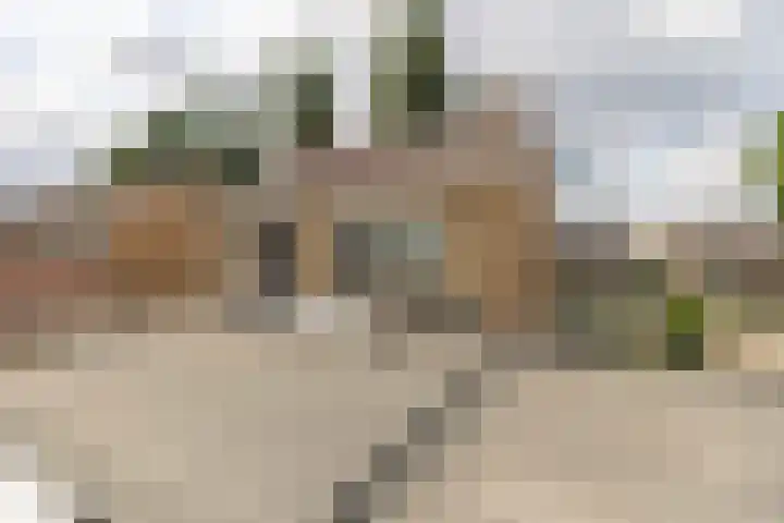Eikenlaan 24 Zundert thumbnail 46
