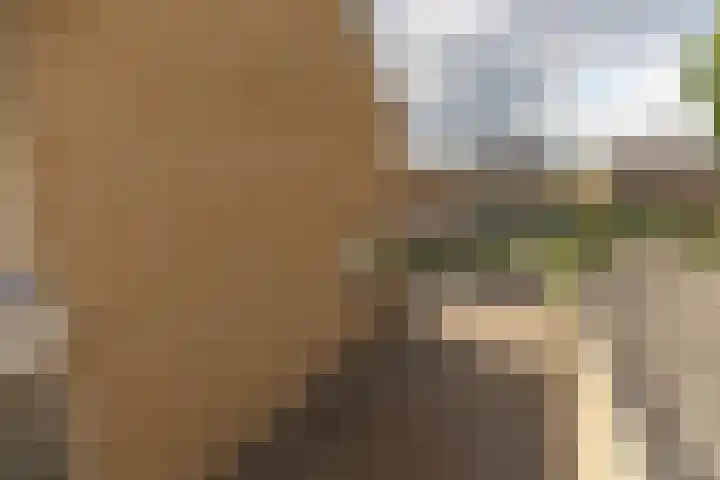Eikenlaan 24 Zundert thumbnail 47