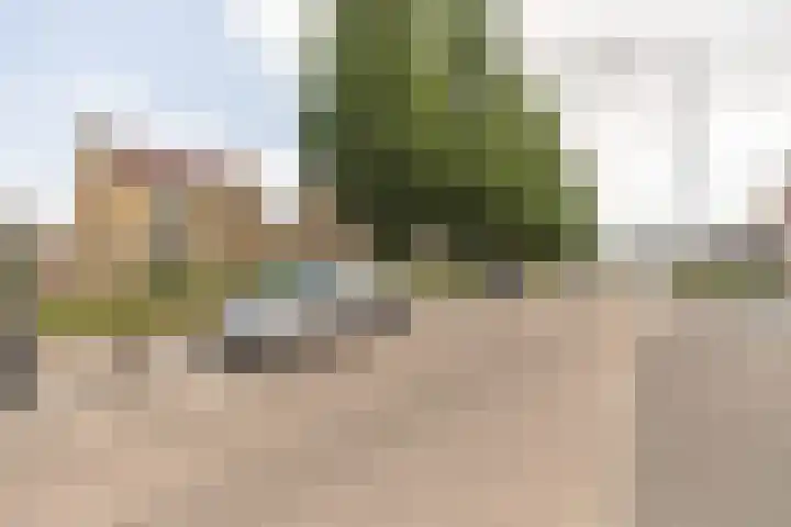 Eikenlaan 24 Zundert thumbnail 48