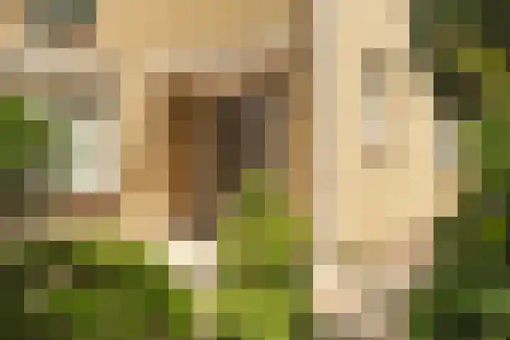 Eikenlaan 24 Zundert thumbnail 7