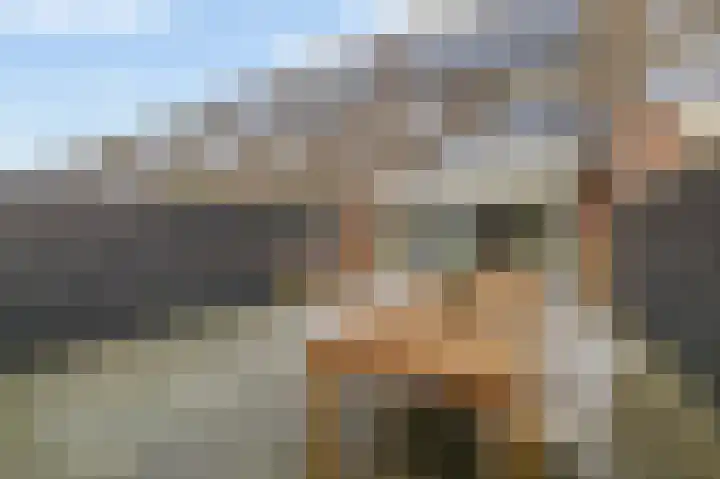 Eikenlaan 25 Lisse thumbnail 28