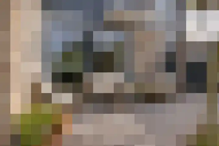 Eikenlaan 25 Zuidlaren thumbnail 17