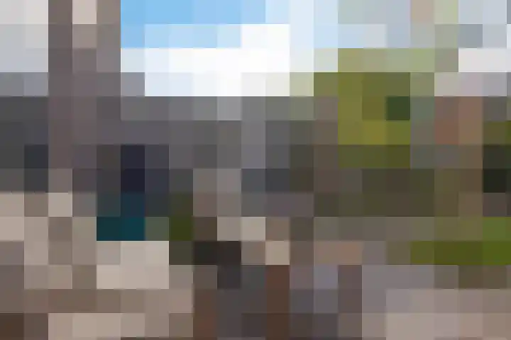 Eikenlaan 25 Zuidlaren thumbnail 18