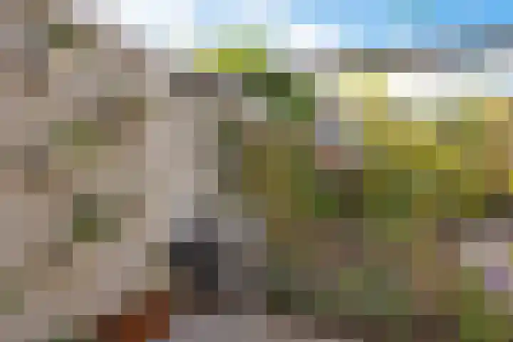 Eikenlaan 25 Zuidlaren thumbnail 19