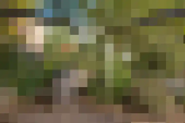 Eikenlaan 25 Zuidlaren thumbnail 20