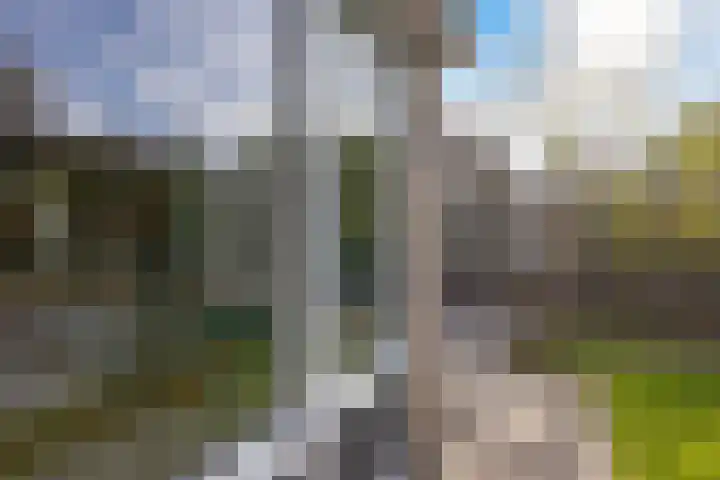 Eikenlaan 25 Zuidlaren thumbnail 21