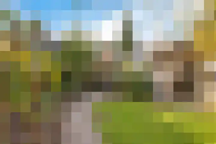 Eikenlaan 25 Zuidlaren thumbnail 22