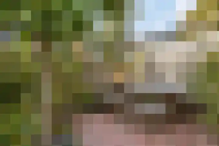 Eikenlaan 25 Zuidlaren thumbnail 23