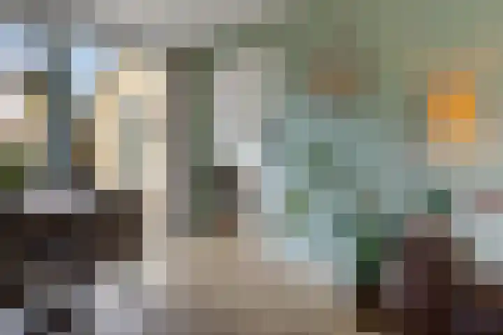 Eikenlaan 25 Zuidlaren thumbnail 34