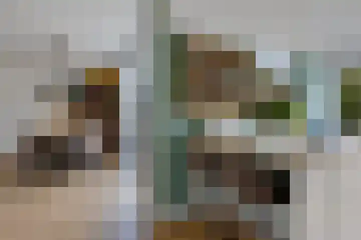 Eikenlaan 25 Zuidlaren thumbnail 35