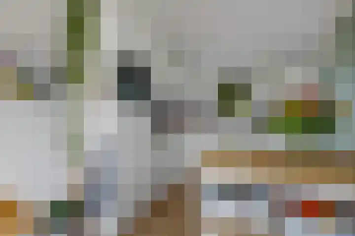 Eikenlaan 25 Zuidlaren thumbnail 38
