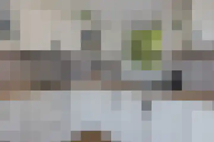 Eikenlaan 25 Zuidlaren thumbnail 39