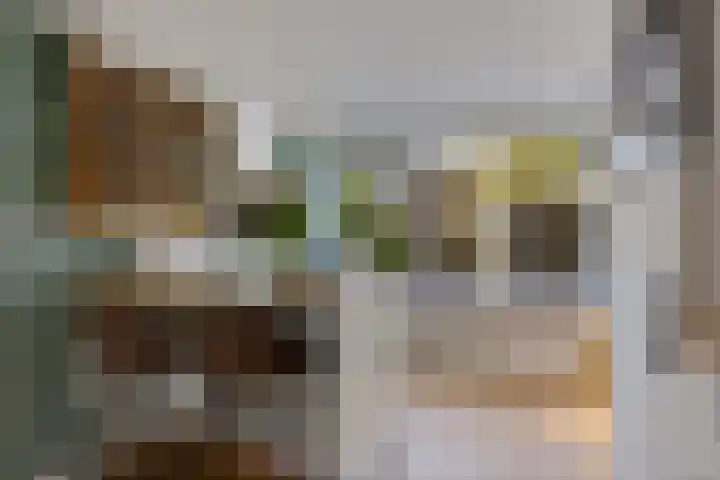 Eikenlaan 25 Zuidlaren thumbnail 4
