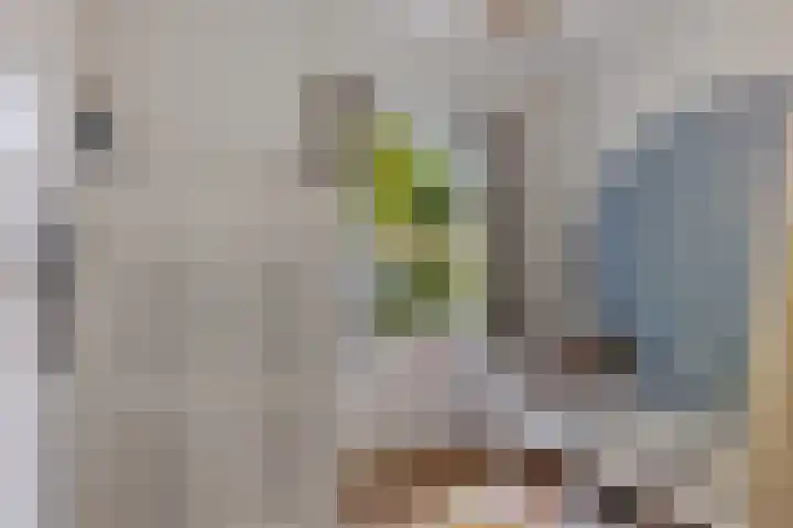 Eikenlaan 25 Zuidlaren thumbnail 47
