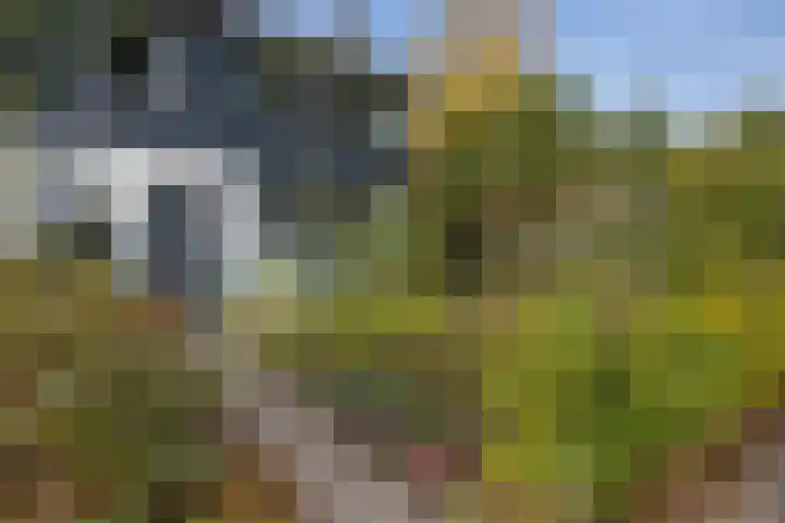 Eikenlaan 25 Zuidlaren thumbnail 8