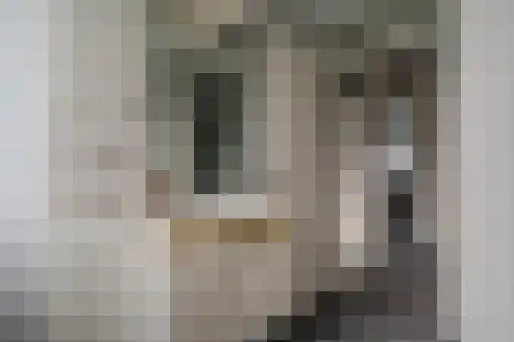 Eikenlaan 26 Blijham thumbnail 27