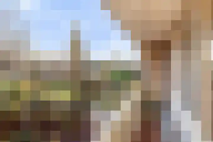 Eikenlaan 26 Borculo thumbnail 22