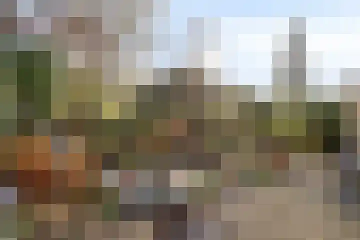 Eikenlaan 26 Borculo thumbnail 28