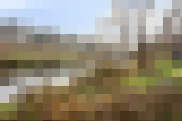 Eikenlaan 26 Borculo thumbnail 34