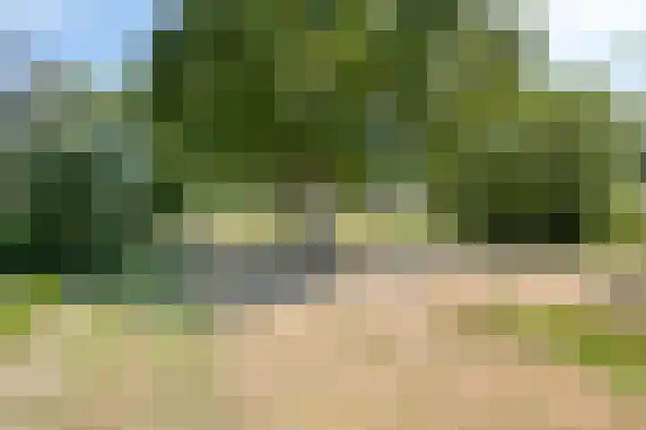 Eikenlaan 26 Borculo thumbnail 36