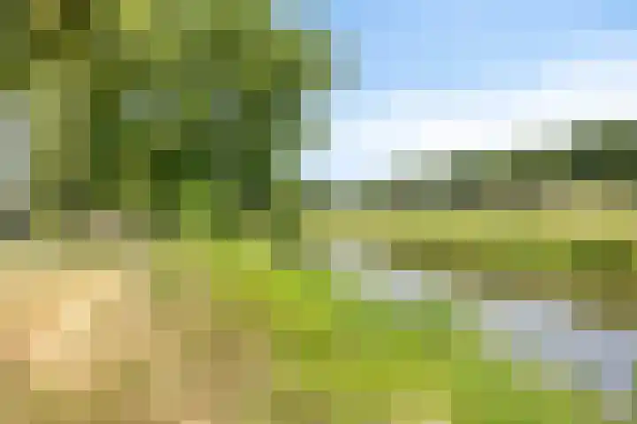 Eikenlaan 26 Borculo thumbnail 37