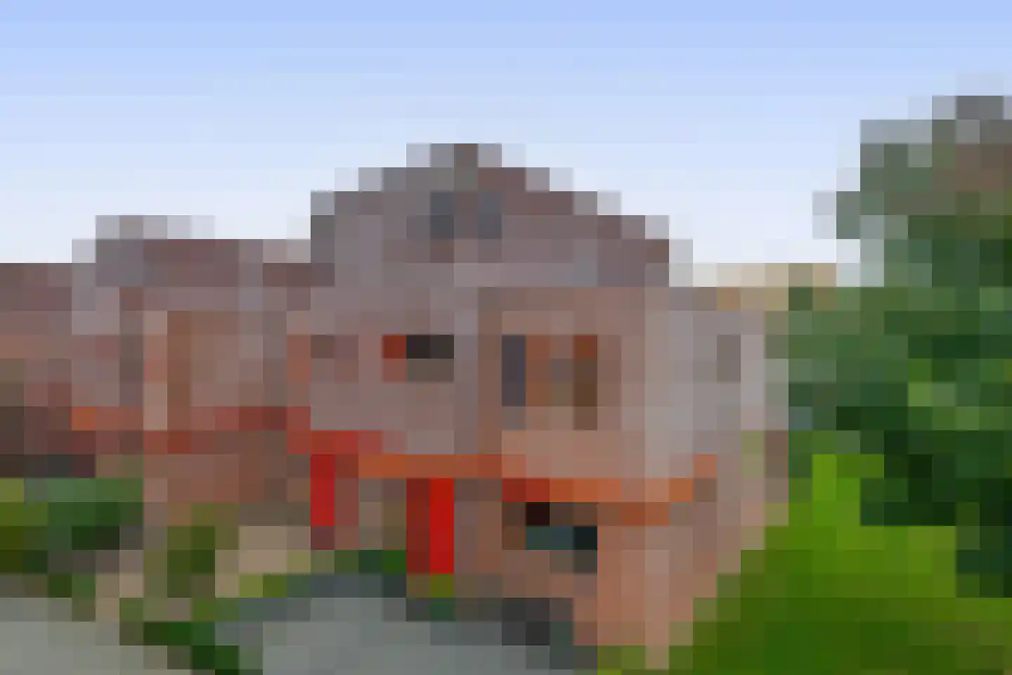 Eikenlaan 26 Rozenburg thumbnail 10