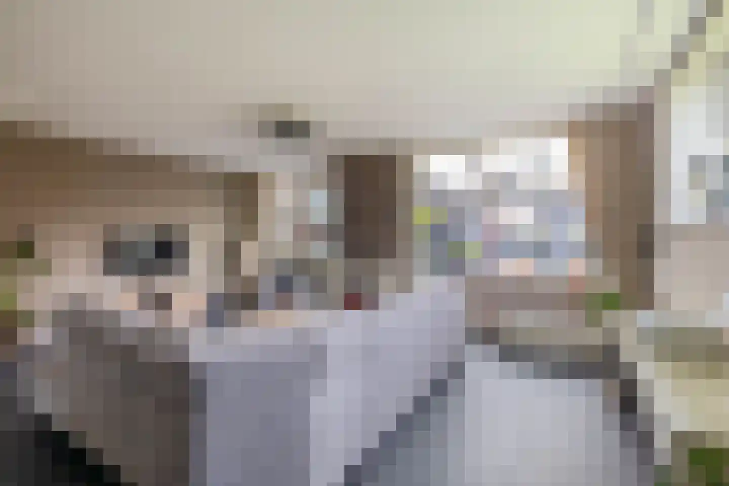 Eikenlaan 26 Rozenburg thumbnail 19