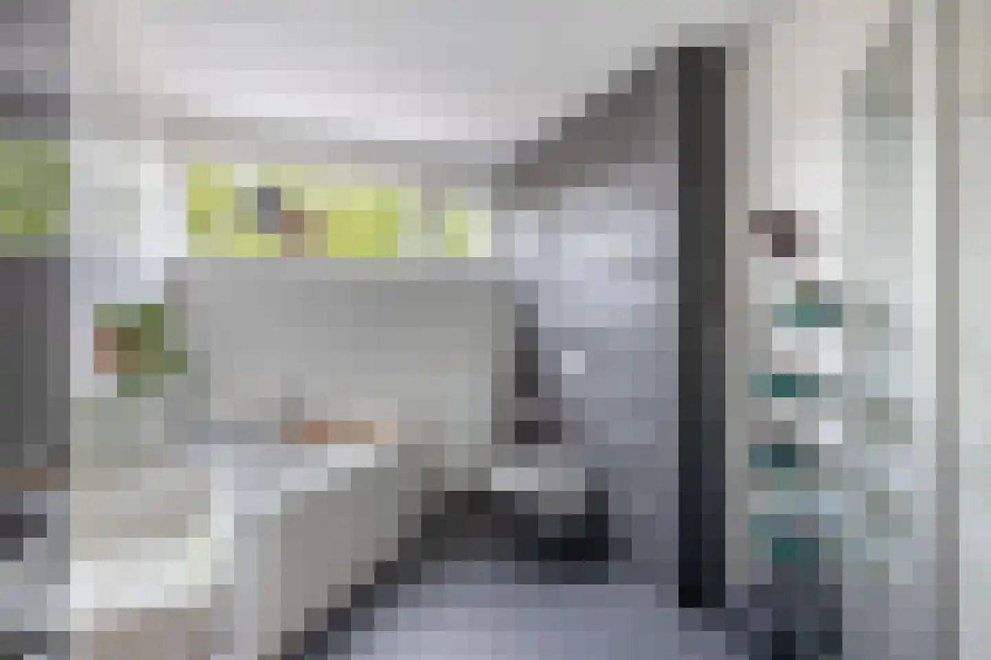 Eikenlaan 26 Rozenburg thumbnail 34