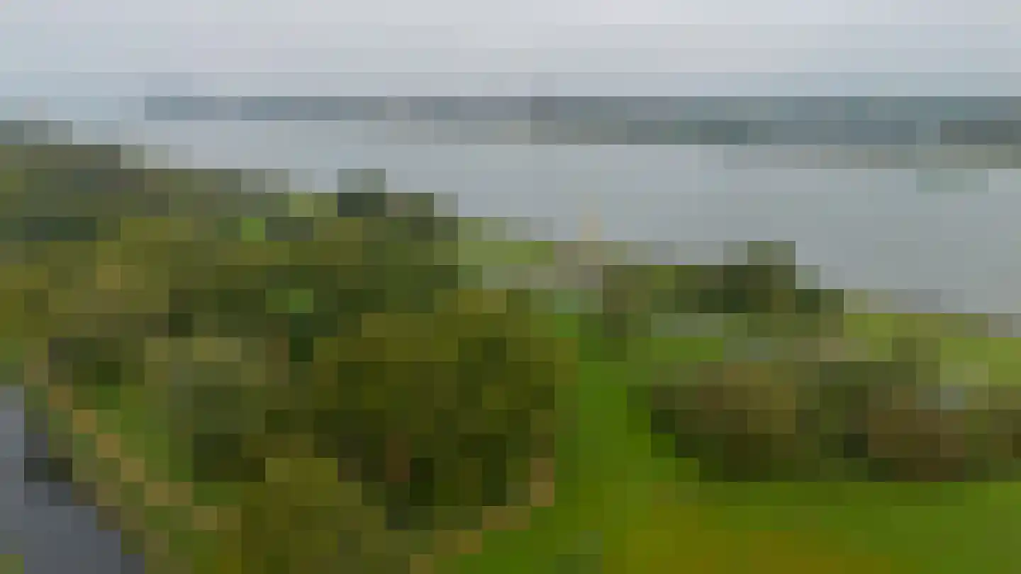Eikenlaan 26 Rozenburg thumbnail 46