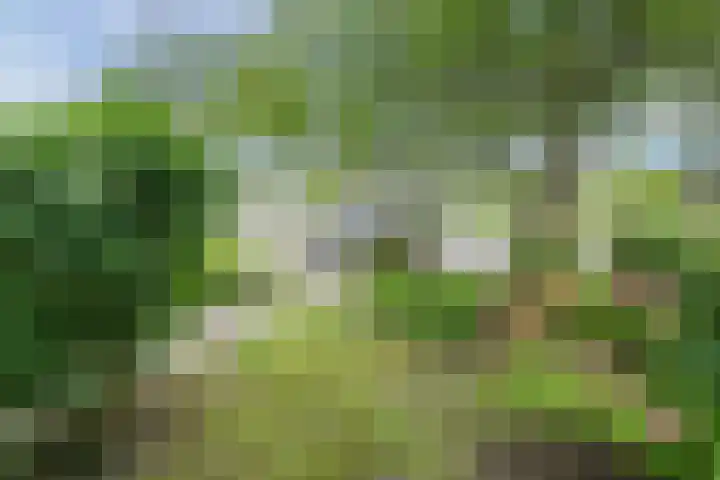 Eikenlaan 26 Zuid-Scharwoude thumbnail 29