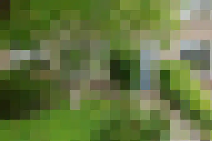 Eikenlaan 26 Zuid-Scharwoude thumbnail 31