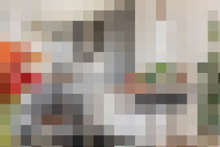 Eikenlaan 27 E Spijkenisse thumbnail 19