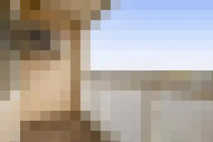 Eikenlaan 27 E Spijkenisse thumbnail 27
