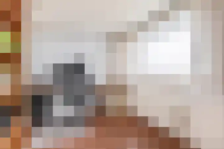 Eikenlaan 27 E Spijkenisse thumbnail 35