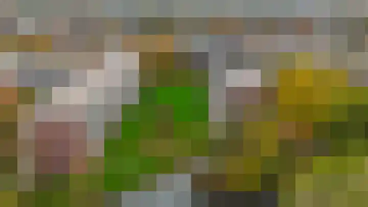 Eikenlaan 27 E Spijkenisse thumbnail 42