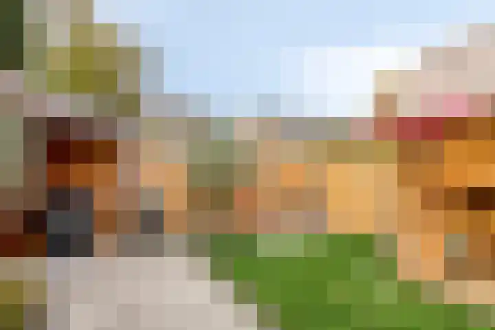 Eikenlaan 27 Molenhoek thumbnail 35
