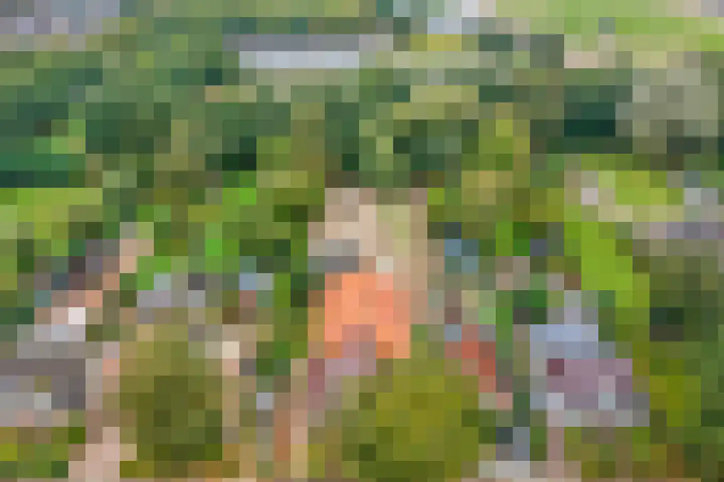 Eikenlaan 27 Wolvega thumbnail 32