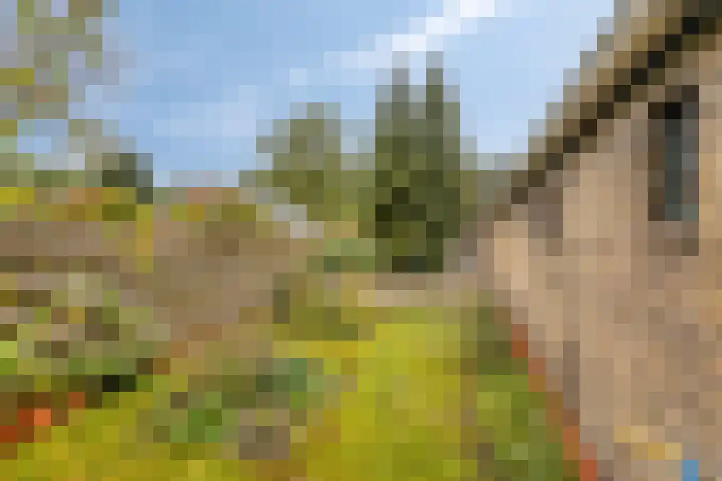 Eikenlaan 27 Wolvega thumbnail 38