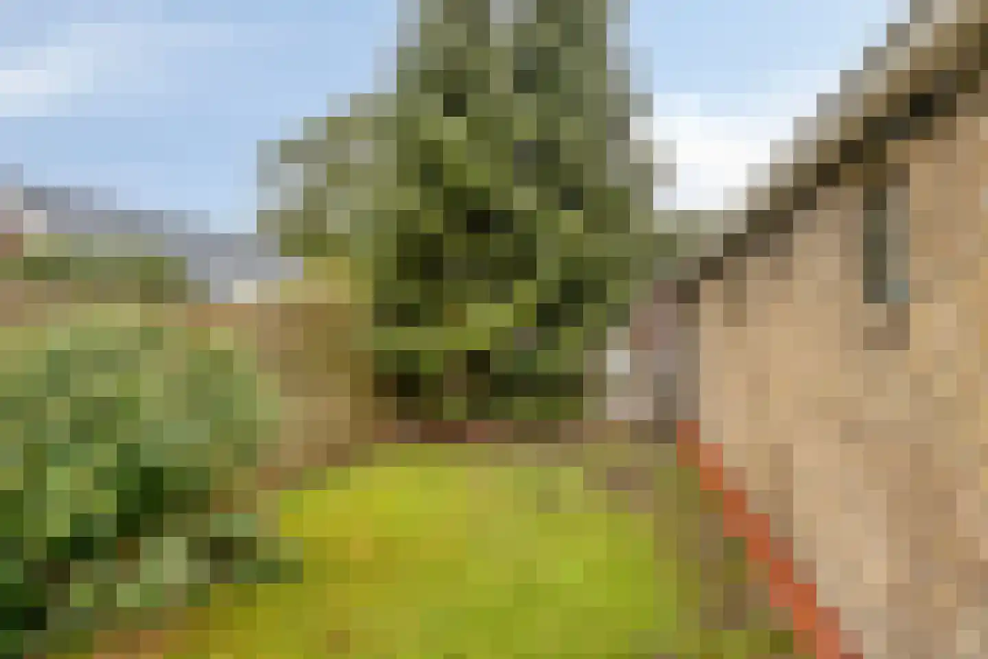 Eikenlaan 27 Wolvega thumbnail 39